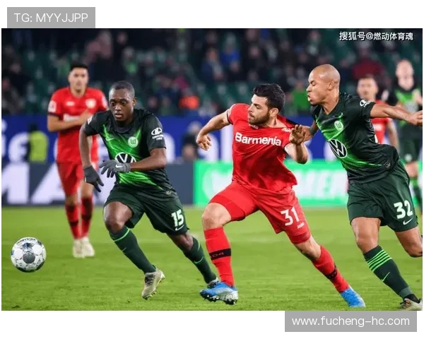 [德甲]第20轮：达姆施塔特VS勒沃库森.